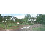 ที่ดินสวย 1 งาน 25 ตารางวา