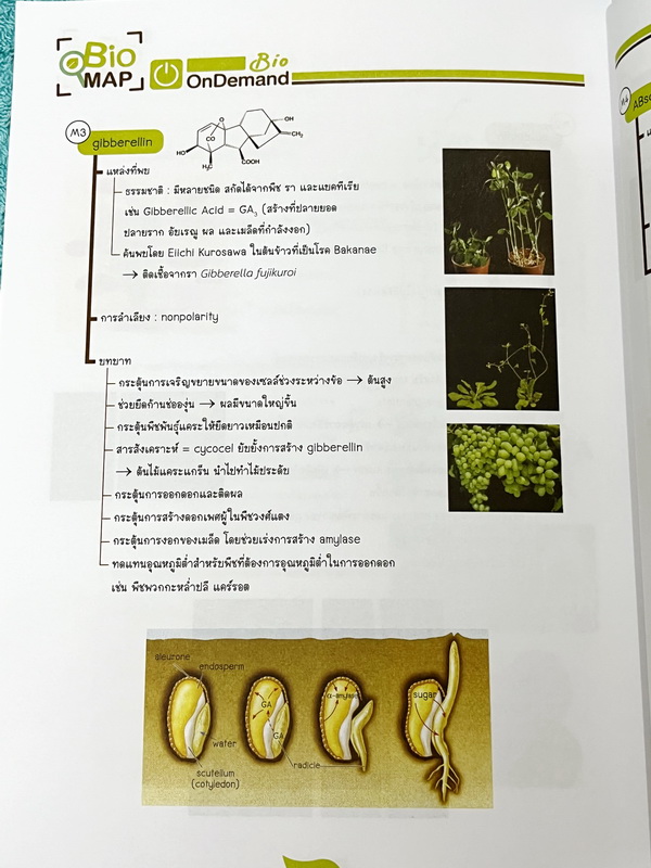 ►หนังสือสรุปชีววิทยา◄ ปกปีใหม่ 2566-2567 หนังสือกวดวิชา Ondemand ออนดีมานด์ พี่วิเวียน นพ.วีรวัช Biomap ชีววิทยาเล่ม 1+2 สรุปเนื้อหาวิชาชีววิทยาระดับชั้น ม.ปลายทั้งหมด ครอบคลุมเนื้อหาตั้งแต่ชั้น ม.4-5-6 เนื้อหาลึกถึงสอบเข้ามหาวิทยาลัย เนื้อหาตีพิมพ์สมบูรณ