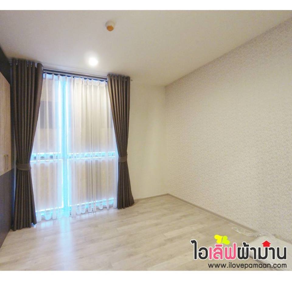 แชมเบอร์ชาน ลาดพร้าว-วังหิน ม่านตาไก่ ลอนสวยงาม