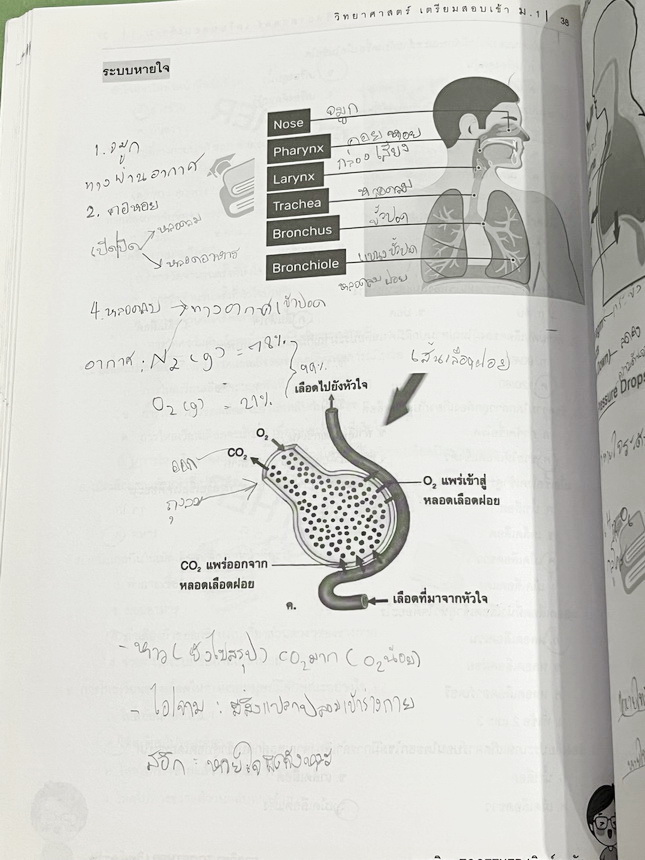 ►วิทย์สอบเข้าม.1◄ หนังสือกวดวิชา Together ครูวัน วิทยาศาสตร์เตรียมสอบเข้า ม.1 มีสรุปเนื้อหา โจทย์ประจำบท จดครบเกือบทั้งเล่ม จดละเอียด หนังสือเล่มหนาใหญ่