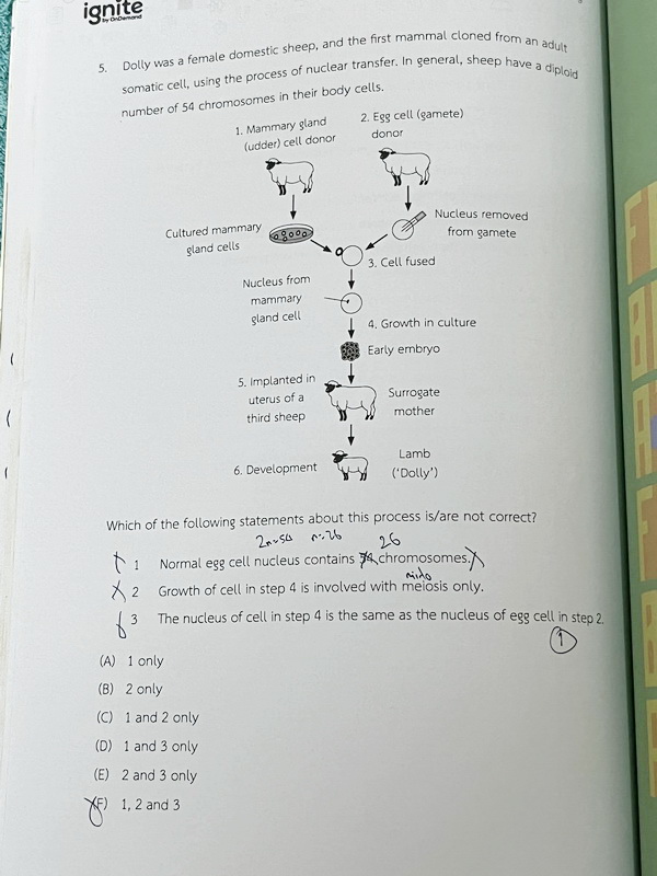 ►หนังสือ BMAT◄ หนังสือกวดวิชา Ignite by Ondemand เล่ม Foundation for BMAT วิชาชีววิทยา มีสรุปเนื้อหากระชับ มีโจทย์ประจำบท จดครบเกือบทั้งเล่ม จดละเอียด