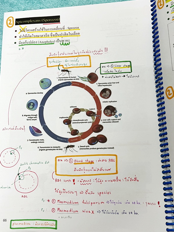 ►หมอพิชญ์ Biobeam◄ หนังสือเรียนวิชาชีววิทยาคอร์ส ICU ไอซียู ครบเซ็ท 8 เล่ม สรุปเนื้อหาระดับชั้น ม.ปลาย ทั้งหมด เนื้อหาครอบคลุมระดับชั้น ม.4-5-6 เพื่อเตรียมตัวสอบเข้ามหาวิทยาลัย สอบแพทย์ กสพท. มีโจทย์และโจทย์ข้อสอบจริงประจำบท ในหนังสือเล่ม 1-5 จดครบเกือบทั