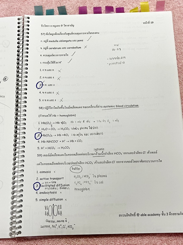 ►อ.หมูแดง◄ หนังสือกวดวิชาชีววิทยา Able Academy อ.หมูแดง เพื่อสอบเข้าแพทย์ กสพท. และสอบเข้ามหาวิทยาลัย Series 2 จดครบเกือบทั้งเล่ม จดละเอียด หนังสือใส่ปกสันเกลียว เปิดอ่านง่าย