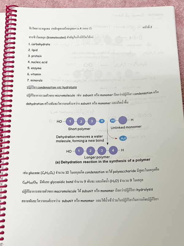 ►อ.หมูแดง◄ ชีววิทยาอาจารย์หมูแดง ชีววิทยา ม.4 เทอม 2 หลักสูตรเตรียมอุดม จดบางหน้า จดละเอียด เนื้อหาตีพิมพ์สมบูรณ์ทั้งเล่ม หนังสือใส่ปกสันเกลียว เปิดอ่านง่าย หนังสือเล่มหนาใหญ่