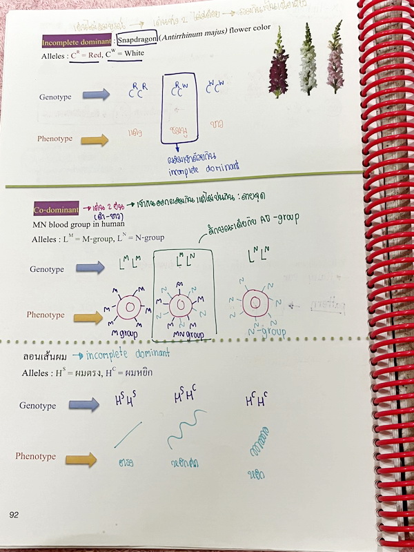 ►หมอพิชญ์ Biobeam◄ หนังสือเรียนชีววิทยา คอร์ส ICU ไอซียู ครบเซ็ท 8 เล่ม พร้อมไฟล์จดเนื้อหาครบทั้งเซ็ทแบบละเอียดมากครบทั้ง 8 เล่ม และไฟล์ชีทเสริม ในหนังสือเล่ม 1-6 จดครบเกือบทั้งเล่ม จดละเอียด มีวาดภาพประกอบเนื้อหาเยอะมาก , เล่ม 7-8 มีจดเล็กน้อย แบบฝึกหัดป