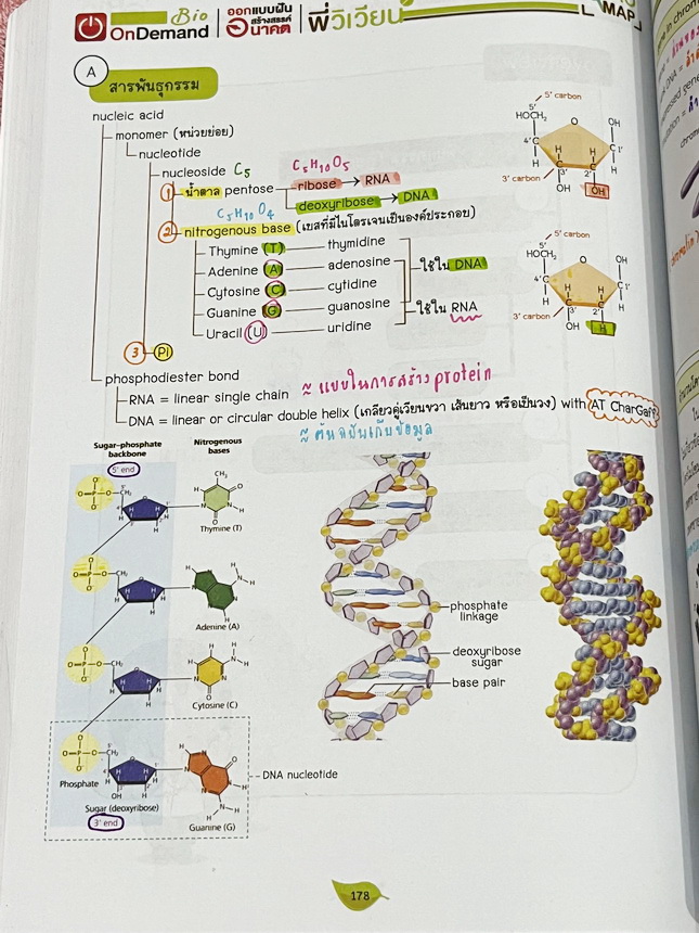 ►สอบเข้ากำเนิดวิทย์,มหิดล,เตรียมอุดม◄ หนังสือกวดวิชาออนดีมานด์ พี่วิเวียน ติวเข้มเนื้อหาชีววิทยา สอบเข้าเตรียมอุดม มหิดล กำเนิดวิทย์ และโรงเรียนแข่งขันสูง มีสรุปเนื้อหาและโจทย์แบบฝึกหัดประจำบท เนื้อหาตีพิมพ์สมบูรณ์ โจทย์มีความยากระดับ Advanced เหมาะสำหรับ
