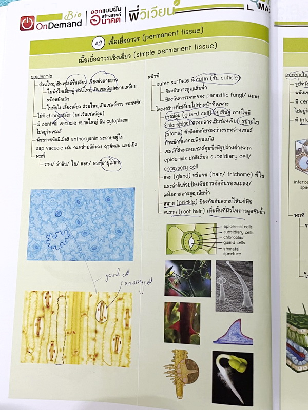 ►ชีววิทยา ม.ปลาย◄ หนังสือกวดวิชาออนดีมานด์ ชีววิทยาพี่วิเวียน TCAS ครบเซ็ท 6 เล่ม + ไฟล์โจทย์ข้อสอบปี 2565-2566 และเฉลยละเอียด - ในหนังสือมีสรุปเนื้อหาวิชาชีววิทยา ม.ปลายอย่างละเอียด เนื้อหาครอบคลุมตั้งแต่ระดับชั้น ม.4-5-6 เนื้อหาลึกถึงสอบเข้ามหาลัย หนังส
