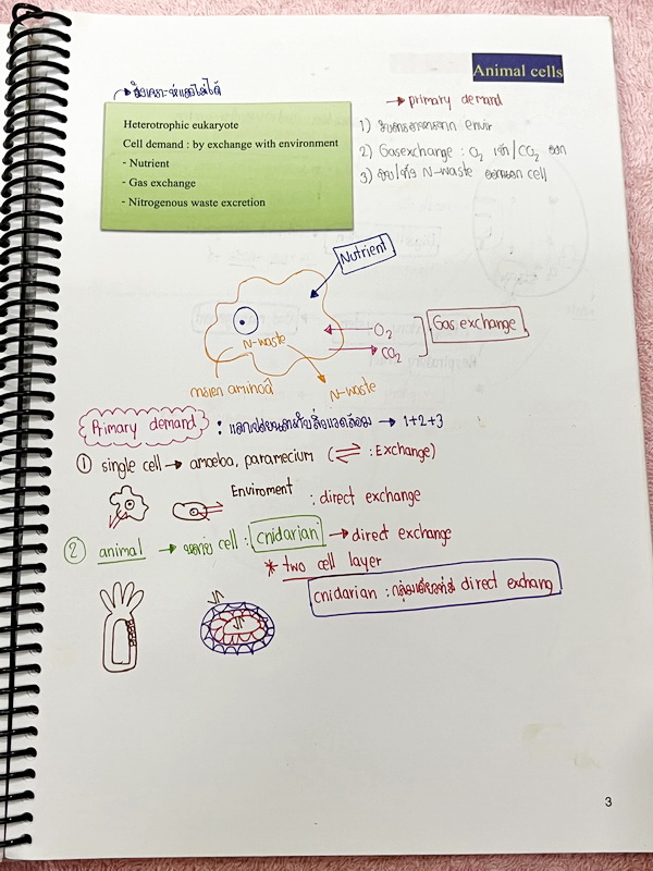 ►หมอพิชญ์ Biobeam◄ หนังสือเรียนชีววิทยา คอร์ส ICU ไอซียู ครบเซ็ท 8 เล่ม พร้อมไฟล์จดเนื้อหาครบทั้งเซ็ทแบบละเอียดมากครบทั้ง 8 เล่ม และไฟล์ชีทเสริม ในหนังสือเล่ม 1-6 จดครบเกือบทั้งเล่ม จดละเอียด มีวาดภาพประกอบเนื้อหาเยอะมาก , เล่ม 7-8 มีจดเล็กน้อย แบบฝึกหัดป