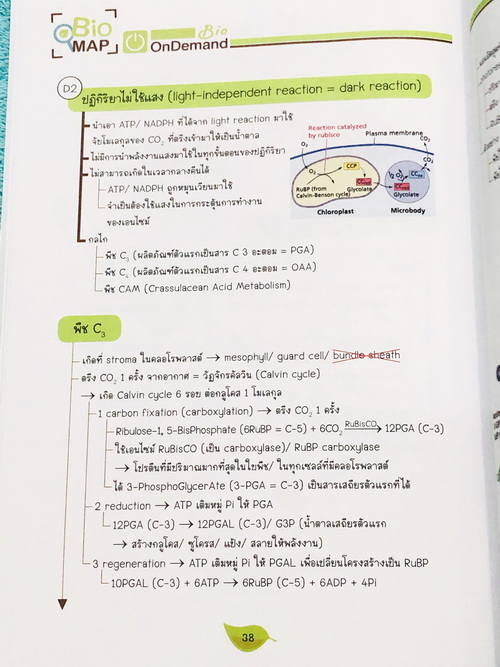 ►Bio Map Mini◄ ออนดีมานด์ พี่วิเวียน สรุปชีววิทยาฉบับพกพา มีสรุปเนื้อหาสำคัญ หนังสือพิมพ์สีทั้งเล่ม มีลำดับหัวข้อที่ชอบออกสอบบ่อยๆในข้อสอบ PAT2 มีเทคนิคลัดเยอะมาก หนังสือตีพิมพ์สมบูรณ์ทั้งเล่ม ในหนังสือมีเขียนเล็กน้อย