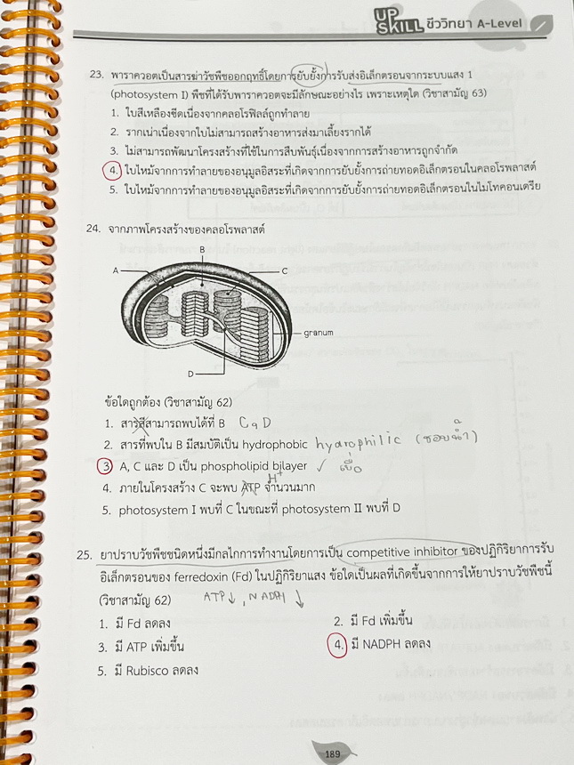 ►ชีววิทยา A-Level◄ หนังสือกวดวิชาออนดีมานด์ Upskill อัพสกิลชีววิทยา A-Level เล่ม 1-2 มีสรุปเนื้อหาสำคัญสั้นๆกระชับ เพื่อใช้เตรียมสอบ ม.ปลาย A-Level มีโจทย์เยอะมาก จดครบเกือบทั้งเล่ม จดละเอียด มีจดเน้นจุดที่ออกสอบบ่อยๆ หนังสือเล่มใหญ่ หนังสือใส่ปกสันเกลียว