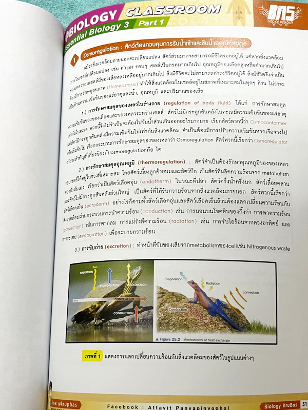 ►ครูบาส◄ หนังสือกวดวิชาชีววิทยา Essential Biology 3 เล่ม1+2 หัวข้อ Human Body System มีสรุปเนื้อหา และรวมโจทย์ข้อสอบแข่งขันประจำบท หนังสือมีเขียนเล็กน้อย ไม่มีเฉลย หนังสือสภาพแทบใหม่เอี่ยม หนังสือพิมพ์สีสวยงามน่าอ่าน