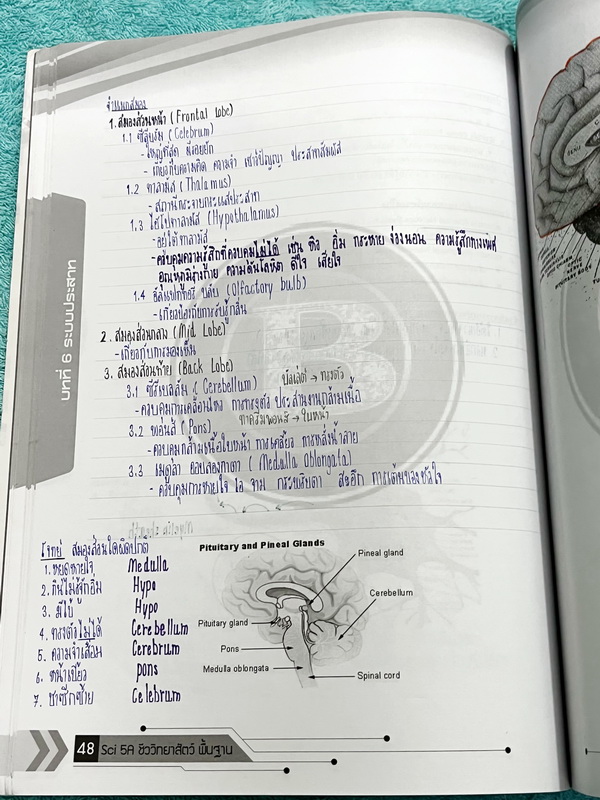 ►A Big Center◄ ครูบิ๊ก ชีววิทยาสัตว์ Animal Biology มีจดสรุปเนื้อหาครบทุกบท จดครบเกือบทั้งเล่ม จดละเอียด จดเป็นระเบียบ ตั้งใจเรียน มีจดเน้นสูตรลัดสัปดน ท่องจำง่ายๆแล้วนำไปใช้ได้เลย โจทย์แบบฝึกหัดมีทำไปแล้วเกือบทั้งหมด ด้านหลังมีเฉลยของอาจารย์ครบทุกข้อ หนั