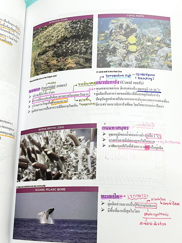 ►หนังสือเรียนชีวะ ม.ต้น◄ หนังสือกวดวิชาหมอพิชญ์ไบโอบีม Fundamental Biology ชีววิทยา ม.ต้น Biobeam สรุปเนื้อหาทุกบทในวิชาวิทยาศาสตร์ชีววิทยาระดับชั้นมัธยมศึกษาตอนต้น เนื้อหายากลึกถึงสอบเข้า ม.4 ร.ร.ดัง จดครบเกือบทั้งเล่ม จดด้วยดินสอและปากกาสีสวยงาม มีวาดรู