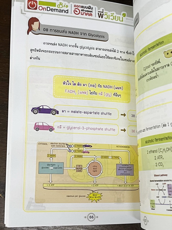 ►Bio Code◄ หนังสือชีววิทยาพี่วิเวียน ออนดีมานด์ Bio Code รวม Trick เทคนิคการจำ อารมณ์คล้ายๆสูตรลัดของคณิตศาสตร์ ออกแบบอ้างอิงการจดจำของสมอง เห็นปุ๊บ ตอบได้ปั๊บ ประหยัดเวลาด้วย Bio Code // ในหนังสือมีเขียนเล็กน้อย หนังสือพิมพ์สีสวยงามทั้งเล่ม หนังสือมีขนาด