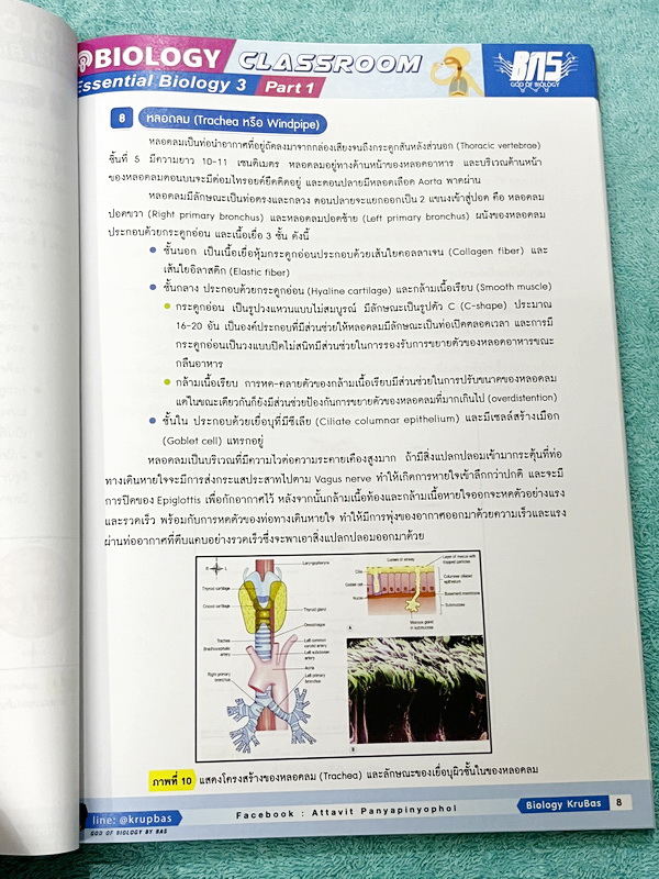 ►ครูบาส◄ หนังสือกวดวิชาชีววิทยา Essential Biology 3 เล่ม1+2 หัวข้อ Human Body System มีสรุปเนื้อหา และรวมโจทย์ข้อสอบแข่งขันประจำบท หนังสือมีเขียนเล็กน้อย ไม่มีเฉลย หนังสือสภาพแทบใหม่เอี่ยม หนังสือพิมพ์สีสวยงามน่าอ่าน