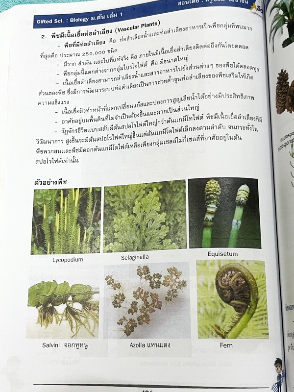 ►GIFTED SCI.◄ ASCI Tutor เอซายน์ ครูป้อม หนังสือเรียนวิทย์ ม.ต้น GIFTED SCI. ชีววิทยาเล่ม 1-2 มีสรุปเนื้อหา เนื้อหาตีพิมพ์สมบูรณ์ มีโจทย์ประจำบท จดบางหน้า จดละเอียด โจทย์ไม่มีเฉลย มีจดเน้นจุดที่ออกในข้อสอบ TU หนังสือเล่มหนาใหญ่