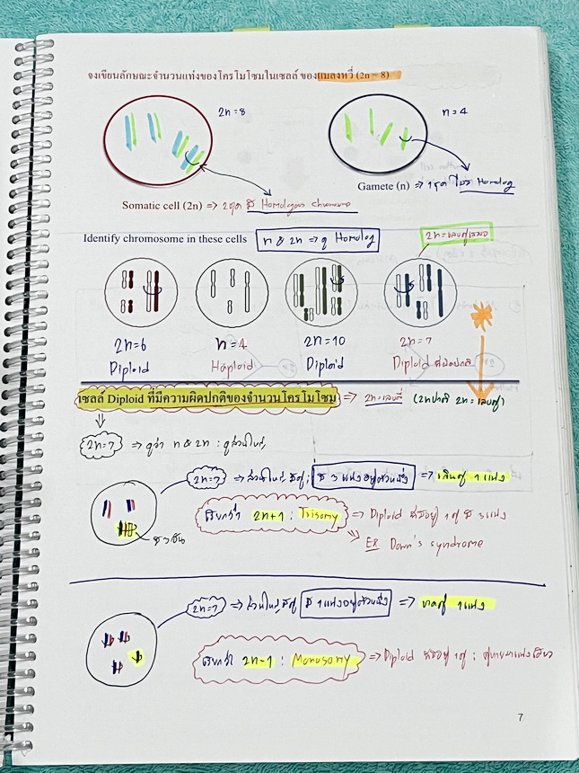 ►หมอพิชญ์ Biobeam◄ หนังสือเรียนชีววิทยาคอร์ส ICU ไอซียู ครบเซ็ท 8 เล่ม พร้อมไฟล์จดเนื้อหาครบทั้งเซ็ทแบบละเอียดมากครบทั้ง 8 เล่ม และไฟล์ชีทเสริม ในหนังสือจดครบเกือบทั้งเล่ม จดละเอียด มีวาดภาพประกอบเนื้อหาเยอะมาก มีโจทย์แบบทดสอบประจำบท มีจดเฉลยครบเกือบทั้งห