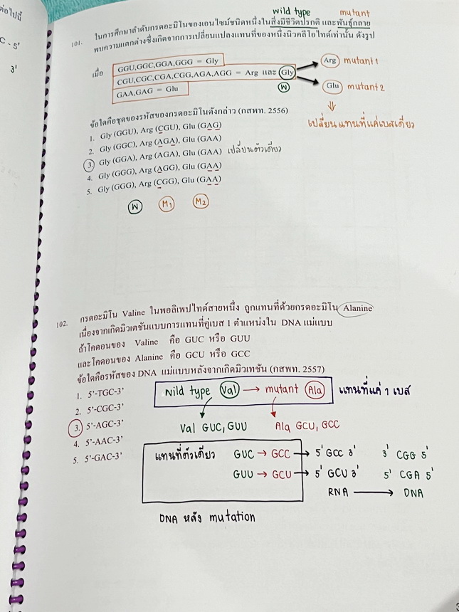 ►หมอพิชญ์ Biobeam◄ หนังสือเรียนชีววิทยา คอร์ส ICU ไอซียู ครบเซ็ท 8 เล่ม พร้อมไฟล์จดเนื้อหาครบทั้งเซ็ทแบบละเอียดมากครบทั้ง 8 เล่ม และไฟล์ชีทเสริม ในหนังสือจดครบเกือบทั้งเล่ม จดละเอียด มีวาดภาพประกอบเนื้อหาเยอะมาก แบบฝึกหัดประจำบทมีจดเฉลยบางข้อ เฉพาะเล่ม 8