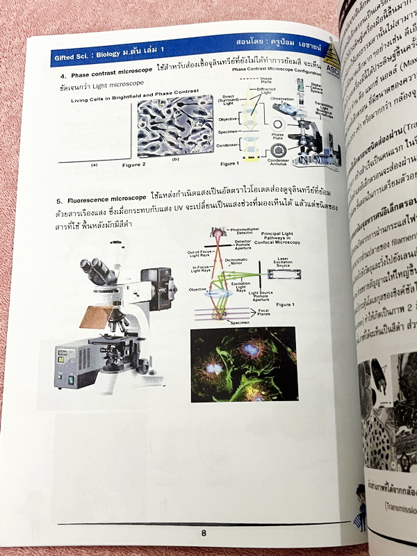 ►GIFTED SCI.◄ ASCI Tutor เอซายน์ ครูป้อม หนังสือเรียนวิทย์ ม.ต้น GIFTED SCI. ชีววิทยาเล่ม 1-2 มีสรุปเนื้อหา เนื้อหาตีพิมพ์สมบูรณ์ มีโจทย์ประจำบท โจทย์ไม่มีเฉลย หนังสือใหม่ไม่มีรอยขีดเขียน หนังสือเล่มหนาใหญ่