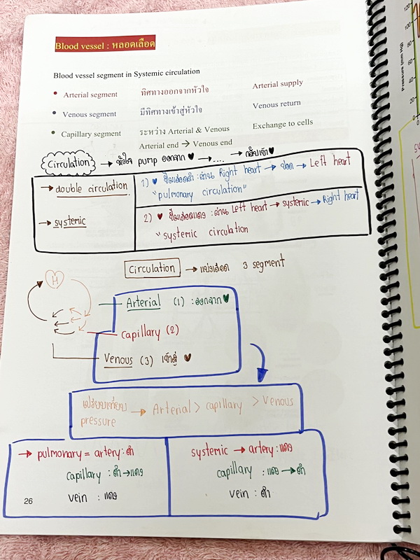 ►หมอพิชญ์ Biobeam◄ หนังสือเรียนชีววิทยา คอร์ส ICU ไอซียู ครบเซ็ท 8 เล่ม พร้อมไฟล์จดเนื้อหาครบทั้งเซ็ทแบบละเอียดมากครบทั้ง 8 เล่ม และไฟล์ชีทเสริม ในหนังสือเล่ม 1-6 จดครบเกือบทั้งเล่ม จดละเอียด มีวาดภาพประกอบเนื้อหาเยอะมาก , เล่ม 7-8 มีจดเล็กน้อย แบบฝึกหัดป