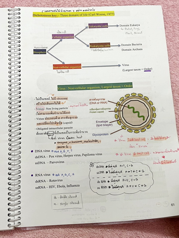 ►หมอพิชญ์ Biobeam◄ Set หนังสือคอร์ส Coma 2 เล่ม ประกอบด้วยเล่มสรุปเนื้อหาและเล่ม Quiz ตะลุยโจทย์ - เล่มสรุปเนื้อหา มีสรุปชีววิทยาระดับชั้น ม.ปลายทั้งหมด เพื่อเตรียมตัวสอบเข้ามหาวิทยาลัย เนื้อหาตีพิมพ์สมบูรณ์ทั้งเล่ม จดครบเกือบทั้งเล่ม จดละเอียด หนังสือพิม
