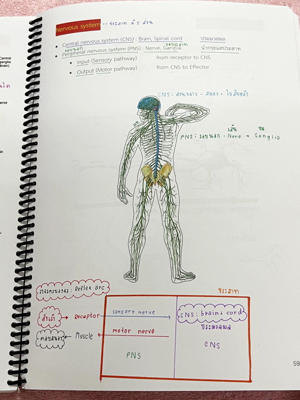►หมอพิชญ์ Biobeam◄ หนังสือกวดวิชาปี 2566 หมอพิชญ์ไบโอบีม ICU ไอซียู ครบเซ็ท 8 เล่ม สรุปเนื้อหาทั้งหมดในระดับชั้น ม.ปลาย ม.4-5-6 เนื้อหายากลึกถึงเตรียมตัวสอบเข้ามหาวิทยาลัย สอบแพทย์ TPAT 1 มีโจทย์ประจำบท ในหนังสือจดครบเกือบทั้งเล่ม จดละเอียด โจทย์มีจดเฉลยค