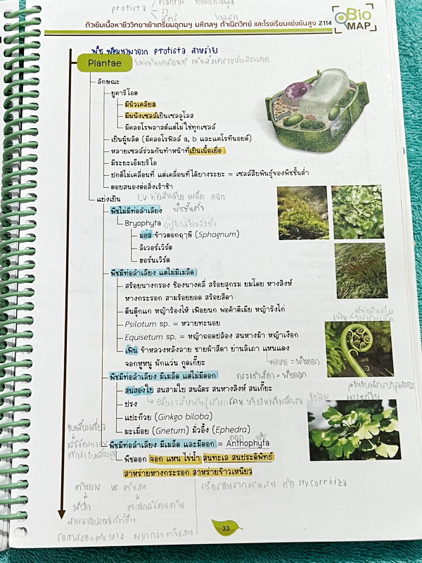 ►สอบเข้ากำเนิดวิทย์, มหิดล,เตรียมอุดม◄ หนังสือกวดวิชาออนดีมานด์ พี่วิเวียน ติวเข้มเนื้อหาชีววิทยาสอบเข้าเตรียมอุดม มหิดล กำเนิดวิทย์ และโรงเรียนแข่งขันสูง มีสรุปเนื้อหาและโจทย์แบบฝึกหัดประจำบท โจทย์มีความยากระดับ Advanced เหมาะสำหรับเด็กที่มีพื้นฐานดี โจท