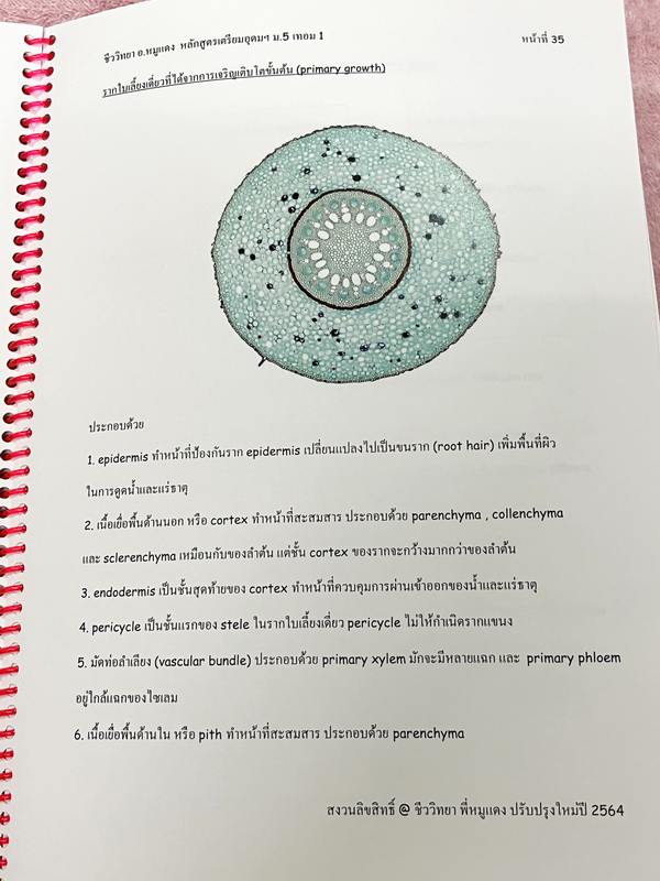 ►อ.หมูแดง◄ ชีววิทยาอาจารย์หมูแดง ชีววิทยา ม.5 เทอม 1 หลักสูตรเตรียมอุดม จดเล็กน้อย เนื้อหาตีพิมพ์สมบูรณ์ทั้งเล่ม หนังสือใส่ปกสันเกลียว เปิดอ่านง่าย หนังสือเล่มหนาใหญ่