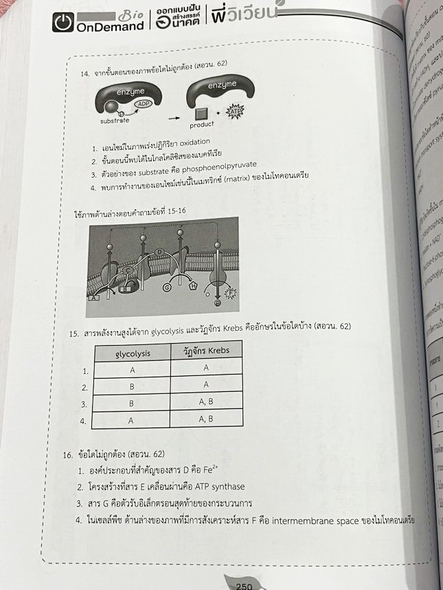 ►ชีววิทยาสอบ สอวน.◄ หนังสือเรียนออนดีมานด์ พี่วิเวียน ชีววิทยาเพื่อสอบ สอวน. สรุปเนื้อหาทั้งหมดเพื่อเตรียมตัวสอบ สอวน. เนื้อหาตีพิมพ์สมบูรณ์ทั้งหมด มีโจทย์ข้อสอบจริง สอวน. ทั้งเล่ม // หนังสือมีเขียนบางหน้า และไม่มีเฉลย หนังสือพิมพ์สวยงาม หนังสือเล่มหนาใหญ