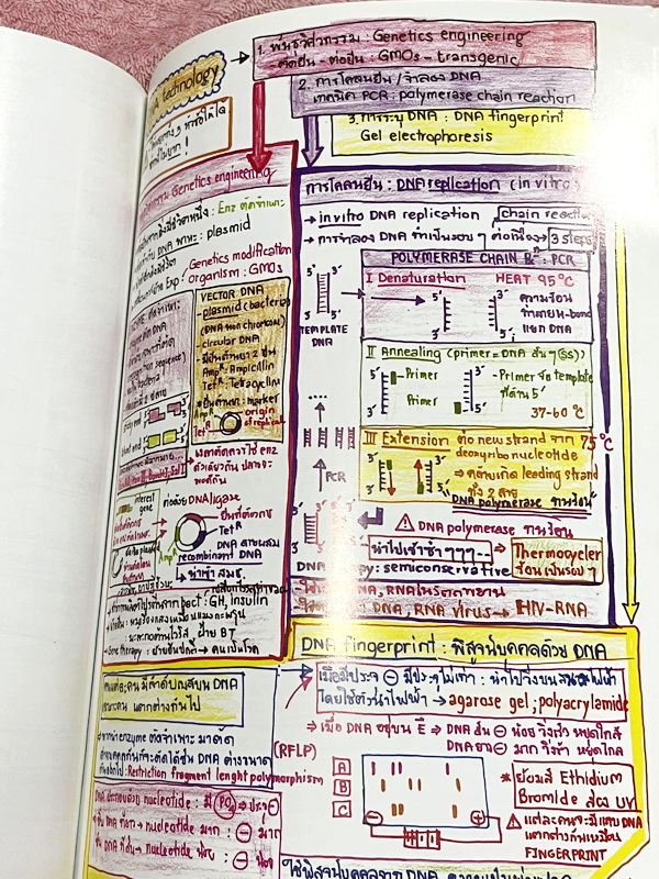 ►หมอพิชญ์ Biobeam◄ Art Beam Shortnote อาร์ทบีม หมอพิชญ์ไบโอบีม หนังสือสรุปเนื้อหาวิชาชีววิทยาทั้งหมดในระดับชั้น ม.ปลาย ทั้งเล่มเขียนด้วยลายมือของหมอพิชญ์ // อาจารย์ลงมือเขียนและวาดรูปเองทุกหน้า หนังสือมีรอยยับเล็กน้อย หนังสือเล่มหนาใหญ่ พิมพ์สีสวยงาม ใช้ก