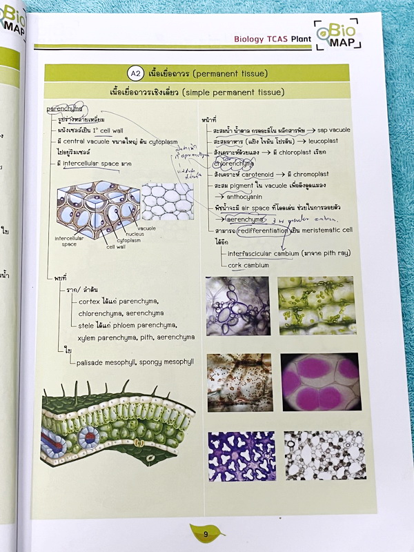 ►ชีววิทยา ม.ปลาย◄ หนังสือกวดวิชาออนดีมานด์ ชีววิทยาพี่วิเวียน TCAS ครบเซ็ท 6 เล่ม + ไฟล์โจทย์ข้อสอบปี 2565-2566 และเฉลยละเอียด - ในหนังสือมีสรุปเนื้อหาวิชาชีววิทยา ม.ปลายอย่างละเอียด เนื้อหาครอบคลุมตั้งแต่ระดับชั้น ม.4-5-6 เนื้อหาลึกถึงสอบเข้ามหาลัย หนังส