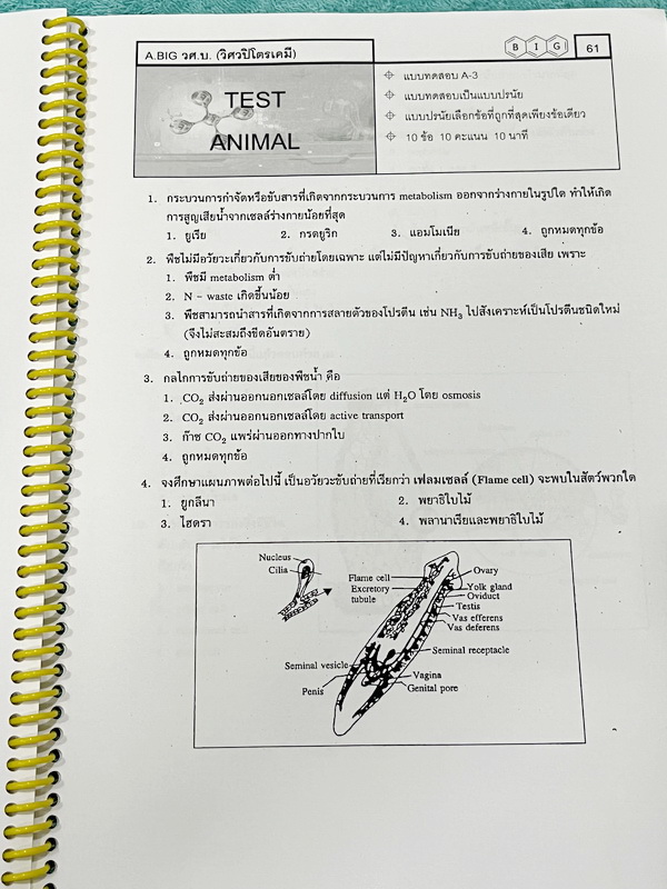 ►หนังสือชีววิทยา ม.ต้น◄ หนังสือเรียนพิเศษ อ.บิ๊ก ชีววิทยา 3 ระบบนิเวศ พันธุ์ศาสตร์ สัตว์ มีสรุปเนื้อหาและโจทย์ Test ข้อสอบประจำบท มีจดบางหน้า เนื้อหาเว้นว่างให้เติมเองเยอะมาก โจทย์ข้อสอบมีจดเฉลยบางข้อและไม่มีเฉลย หนังสือใส่ปกสันเกลียว เปิดอ่านง่าย
