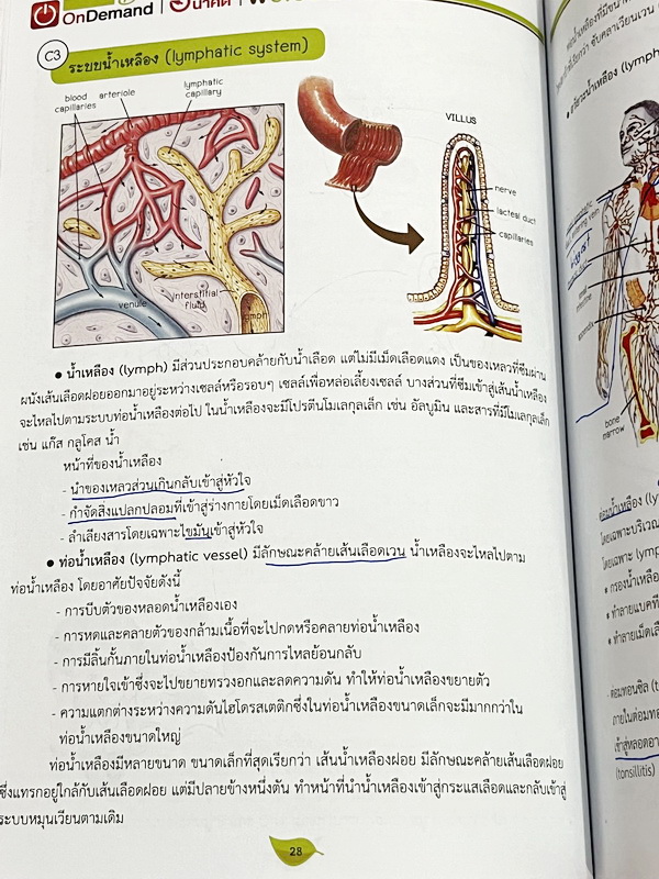 ►ออนดีมานด์◄ Set หนังสือเรียนพิเศษ + ไฟล์เฉลย วิชาวิทยาศาสตร์ ม.ต้น ชีววิทยาพี่วิเวียน เล่ม 1-8 ครบเซ็ท 8 เล่ม ครอบคลุมเนื้อหาตั้งแต่ระดับชั้นม.ต้น ม.1-2-3 เนื้อหายากลึกถึงสอบเข้า ม.4 โรงเรียนดัง จดบางหน้า จดละเอียด มีจดเทคนิคลัดการทำโจทย์ หนังสือพิมพ์สีใ