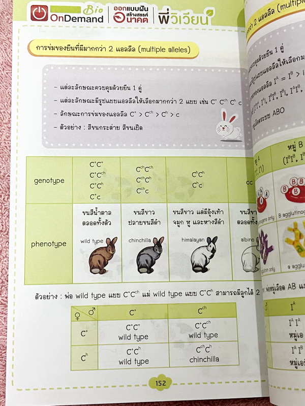 ►BioMap Mini◄ หนังสือชีววิทยาพี่วิเวียน ออนดีมานด์ สรุปชีววิทยาฉบับพกพา มีสรุปเนื้อหาสำคัญ หนังสือพิมพ์สีทั้งเล่ม มีเทคนิคลัดเยอะมาก เหมาะสำหรับพกพาไปทุกที่เพื่ออ่านทบทวน หนังสือตีพิมพ์สมบูรณ์ทั้งเล่ม // ในหนังสือมีเขียนเล็กน้อย สภาพหนังสือแทบใหม่เอี่ยม ห