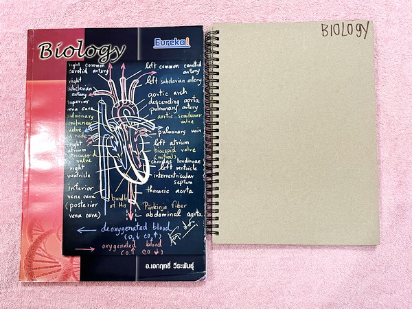 ►Eureka◄ หนังสือกวดวิชาชีววิทยา ม.ปลาย อ.เอกฤทธิ์ ยูเรก้า + สมุดโน้ตในคอร์สเรียน 1 เล่ม ในหนังสือเน้นภาพสี กราฟ ตาราง และแผนภาพเกี่ยวกับวิชาชีววิทยาในระดับชั้น ม.ปลายรวมทุกบท ส่วนใหญ่ใช้ภาษาอังกฤษ และภาษาละตินประกอบคำอธิบาย หนังสือเล่มหนาใหญ่ มีน้ำหนัก พิ