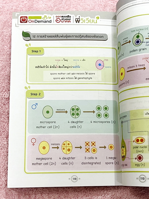 ►Bio Code◄ หนังสือชีววิทยาพี่วิเวียน ออนดีมานด์ Bio Code รวม Trick เทคนิคการจำ อารมณ์คล้ายๆสูตรลัดของคณิตศาสตร์ ออกแบบอ้างอิงการจดจำของสมอง เห็นปุ๊บ ตอบได้ปั๊บ ประหยัดเวลาด้วย Bio Code // ในหนังสือมีเขียนเล็กน้อย หนังสือพิมพ์สีสวยงามทั้งเล่ม หนังสือมีขนาด