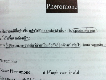 หนังสือหมอพิชญ์ไบโอบีม Basic Biology (OPD) Vol.3 : Human body 2
