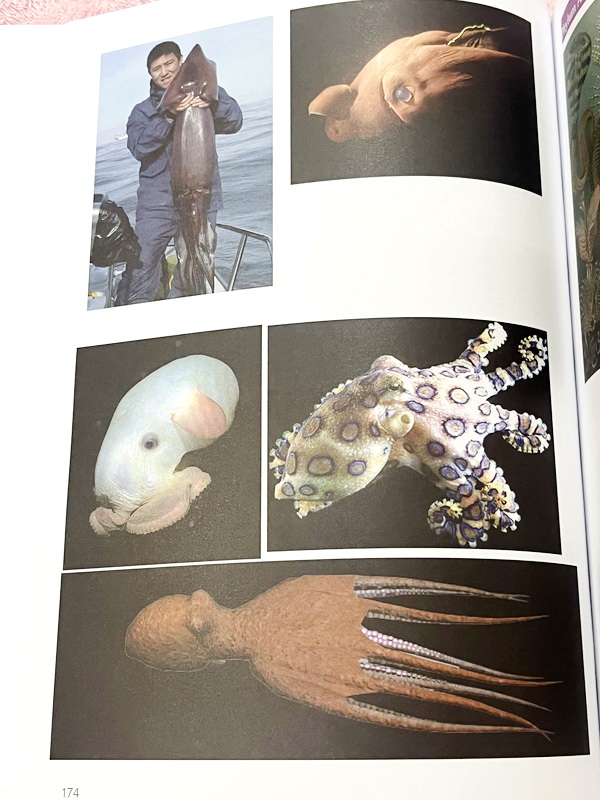 ►ชีววิทยา ม.ต้น◄ หนังสือกวดวิชาหมอพิชญ์ไบโอบีม Fundamental Biology ชีววิทยา ม.ต้น Biobeam สรุปเนื้อหาทุกบทในวิชาวิทยาศาสตร์ชีววิทยา ระดับชั้นมัธยมศึกษาตอนต้น ม.1-2-3 เนื้อหายากลึกถึงสอบเข้า ม.4 ร.ร.ดัง ในหนังสือจดครบเกือบทั้งเล่ม จดละเอียด มีวาดภาพประกอบเ