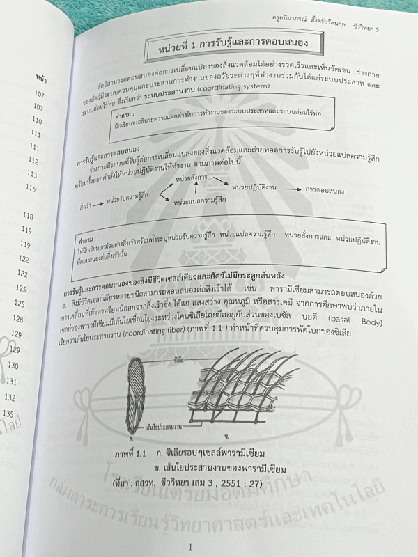 ►หนังสือเรียนโรงเรียนเตรียมอุดม◄ เอกสารประกอบการเรียนรายวิชาวิทยาศาสตร์ ชีววิทยา5 ระดับชั้น ม.6 จัดทำโดยกลุ่มสาระการเรียนรู้วิทยาศาสตร์ มีสรุปเนื้อหาและโจทย์แบบทดสอบ โจทย์เข้มข้น จดเล็กน้อย ไม่มีเฉลย หนังสือเล่มหนาใหญ่