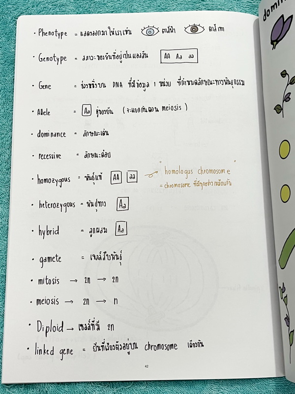 ►หนังสือรุ่นพี่เตรียมอุดม◄ Biology Short Note Form หนังสือสรุปชีววิทยา สรุปย่อๆกระชับให้เห็นภาพรวมของTopic + เนื้อหาทั้งหมดที่ต้องใช้สอบเข้าเตรียมอุดม พิมพ์สีสวยงาม เนื้อหาพิมพ์สมบูรณ์ หนังสือหนา 48 หน้า