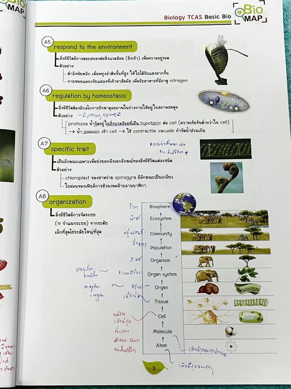 ►ชีววิทยา ม.ปลาย◄ หนังสือกวดวิชาออนดีมานด์ ชีววิทยาพี่วิเวียน TCAS ครบเซ็ท 6 เล่ม + ไฟล์โจทย์ข้อสอบปี 2565-2566 และเฉลยละเอียด - ในหนังสือมีสรุปเนื้อหาวิชาชีววิทยา ม.ปลายอย่างละเอียด เนื้อหาครอบคลุมตั้งแต่ระดับชั้น ม.4-5-6 เนื้อหาลึกถึงสอบเข้ามหาลัย หนังส