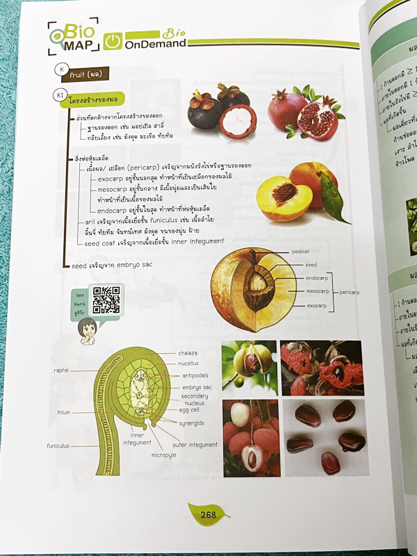 ►หนังสือสรุปชีววิทยา◄ หนังสือกวดวิชา Ondemand ออนดีมานด์ พี่วิเวียน นพ.วีรวัช Biomap ชีววิทยาเล่ม 1+2 สรุปเนื้อหาวิชาชีววิทยาระดับชั้น ม.ปลายทั้งหมด ครอบคลุมเนื้อหาตั้งแต่ชั้น ม.4-5-6 เนื้อหาลึกถึงสอบเข้ามหาวิทยาลัย เนื้อหาตีพิมพ์สมบูรณ์ หนังสือพิมพ์สีสวย