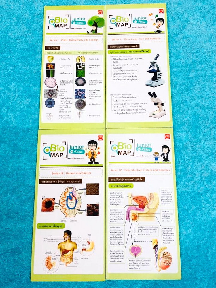 ►สรุปชีวะ ม.ต้น◄ Set แผ่นพับสี BIO MAP 4 แผ่น ในแผ่นพับมีสรุปความรู้วิชาชีววิทยาระดับชั้น ม.ต้น พิมพ์สีสวยงามน่าอ่าน ทั้งเซ็ทแบ่งออกเป็น 4 Series ------------------------------------------------------- 1.Plant , Biodiversity and Ecology 2.Microscope , Cel
