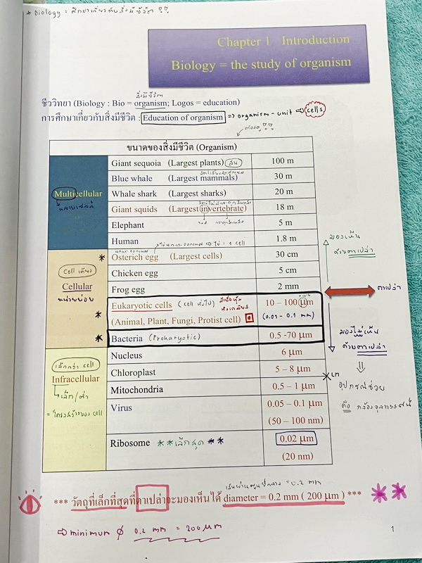 ►หมอพิชญ์ Biobeam◄ หนังสือเรียนวิชาชีววิทยาคอร์ส ICU ไอซียู ครบเซ็ท 8 เล่ม สรุปเนื้อหาระดับชั้น ม.ปลาย ทั้งหมด เนื้อหาครอบคลุมระดับชั้น ม.4-5-6 เพื่อเตรียมตัวสอบเข้ามหาวิทยาลัย สอบแพทย์ กสพท. มีโจทย์และโจทย์ข้อสอบจริงประจำบท ในหนังสือเล่ม 1-5 จดครบเกือบทั