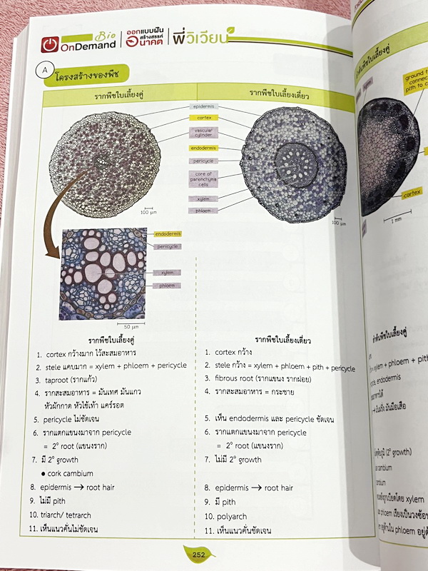 ►สอบเข้ากำเนิดวิทย์,มหิดล,โรงเรียนแข่งขันสูง◄ หนังสือกวดวิชาออนดีมานด์ พี่วิเวียน ติวเข้มเนื้อหาชีววิทยา สอบเข้า มหิดล กำเนิดวิทย์ และโรงเรียนแข่งขันสูง มีสรุปเนื้อหาและโจทย์แบบฝึกหัดประจำบท เนื้อหาตีพิมพ์สมบูรณ์ โจทย์มีความยากระดับ Advanced เหมาะสำหรับเด