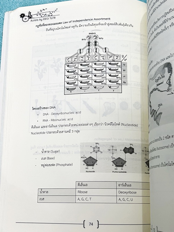 ►หนังสือรุ่นพี่เตรียมอุดม◄ Aurora หนังสือสรุปวิทยาศาสตร์ ม.ต้น เพื่อใช้สอบเข้า ม.4 ร.ร.ชั้นนำทั่วประเทศ สรุปเนื้อหาวิทย์ครบทุกวิชาชีวะ ฟิสิกส์ เคมี วิทย์กายภาพ มี GS Point เทคนิคการจำลัดสอดแทรกตามหน้าต่างๆ มีข้อสอบทบทวนทุกวิชา พร้อมเฉลย+เฉลยละเอียด ในหนัง