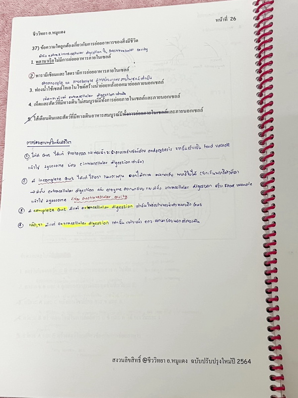 ►อ.หมูแดง◄ ชีววิทยาอาจารย์หมูแดง ชีววิทยาเพื่อสอบแพทย์ กสพท.และสอบเข้ามหาลัย จดครบเกือบทั้งเล่ม จดละเอียด หนังสือใส่ปกสันเกลียว เปิดอ่านง่าย หนังสือเล่มหนาใหญ่