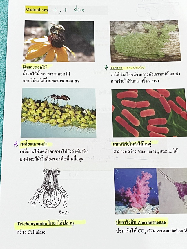 ►หมอพิชญ์ Biobeam◄ หนังสือเรียนชีววิทยาคอร์ส ICU ไอซียู ครบเซ็ท 8 เล่ม พร้อมไฟล์จดเนื้อหาครบทั้งเซ็ทแบบละเอียดมากครบทั้ง 8 เล่ม และไฟล์ชีทเสริม ในหนังสือจดครบเกือบทั้งเล่ม จดละเอียด มีวาดภาพประกอบเนื้อหาเยอะมาก มีโจทย์แบบทดสอบประจำบท มีจดเฉลยครบเกือบทั้งห