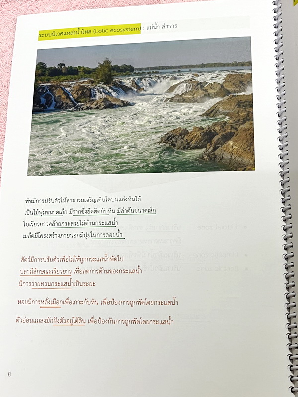 ►หมอพิชญ์ Biobeam◄ หนังสือกวดวิชาปี 2566 หมอพิชญ์ไบโอบีม ICU ไอซียู ครบเซ็ท 8 เล่ม สรุปเนื้อหาทั้งหมดในระดับชั้น ม.ปลาย ม.4-5-6 เนื้อหายากลึกถึงเตรียมตัวสอบเข้ามหาวิทยาลัย สอบแพทย์ TPAT 1 มีโจทย์ประจำบท ในหนังสือจดครบเกือบทั้งเล่ม จดละเอียด โจทย์มีจดเฉลยค