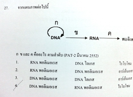 หนังสือหมอพิชญ์ Biobeam Basic Biology (OPD) Genetics & Evolution
